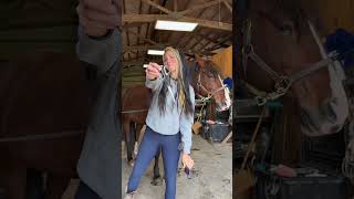 Graces annual transformation into a real horse equestrian horse equestrianlife dressage showjumping 