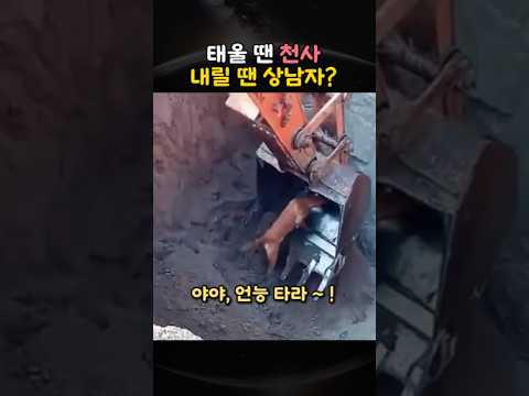태울 땐 천사, 내릴 땐 상남자?