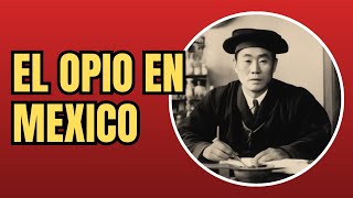 El Origen del Opio en México, sus inicios terapéuticos | José Amarillas
