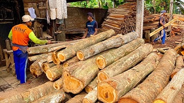 Double Profits! The Best Techniques for Sawing Teak Wood Quickly & Precisely 