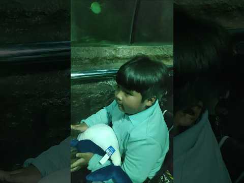 Arsha Ketemu Ikan Pari Guedee Guys 