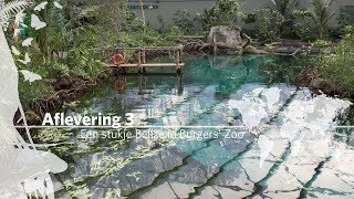 Project Mangrove Een Stukje Belize In Burgers Zoo Aflevering 3