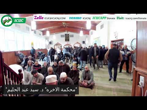 محكمة الاخره د سيد عبد الحليم 