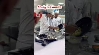 Apply To Study Culinary Arts Management In Canada With Studentfolio Consultancy High Visa Success