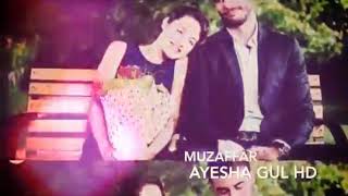 Ayesha Gul Le Song