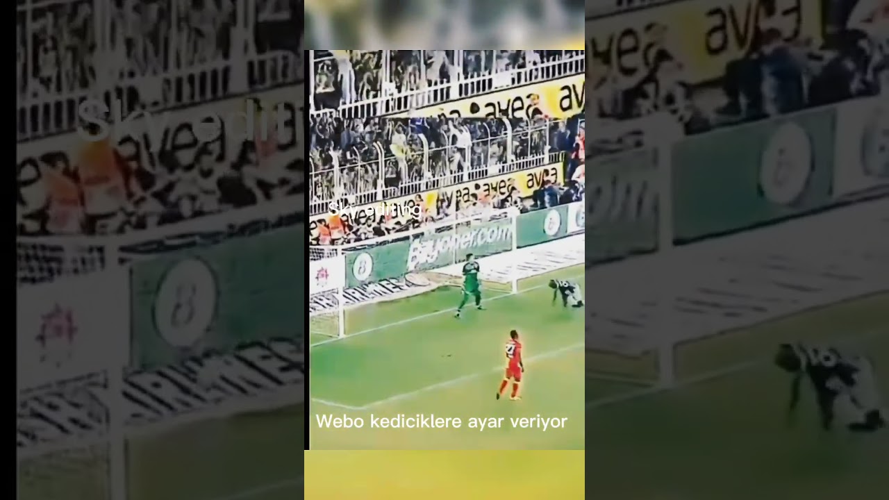 Webo kediciklere ayar veriyor 