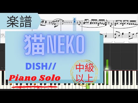 猫 (上級) - DISH//