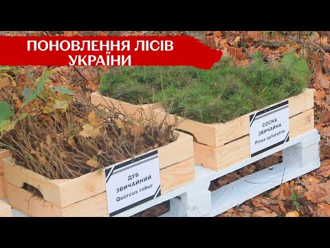 Долучаються військові та