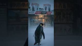 The Reason Is Here shortsfeed trending