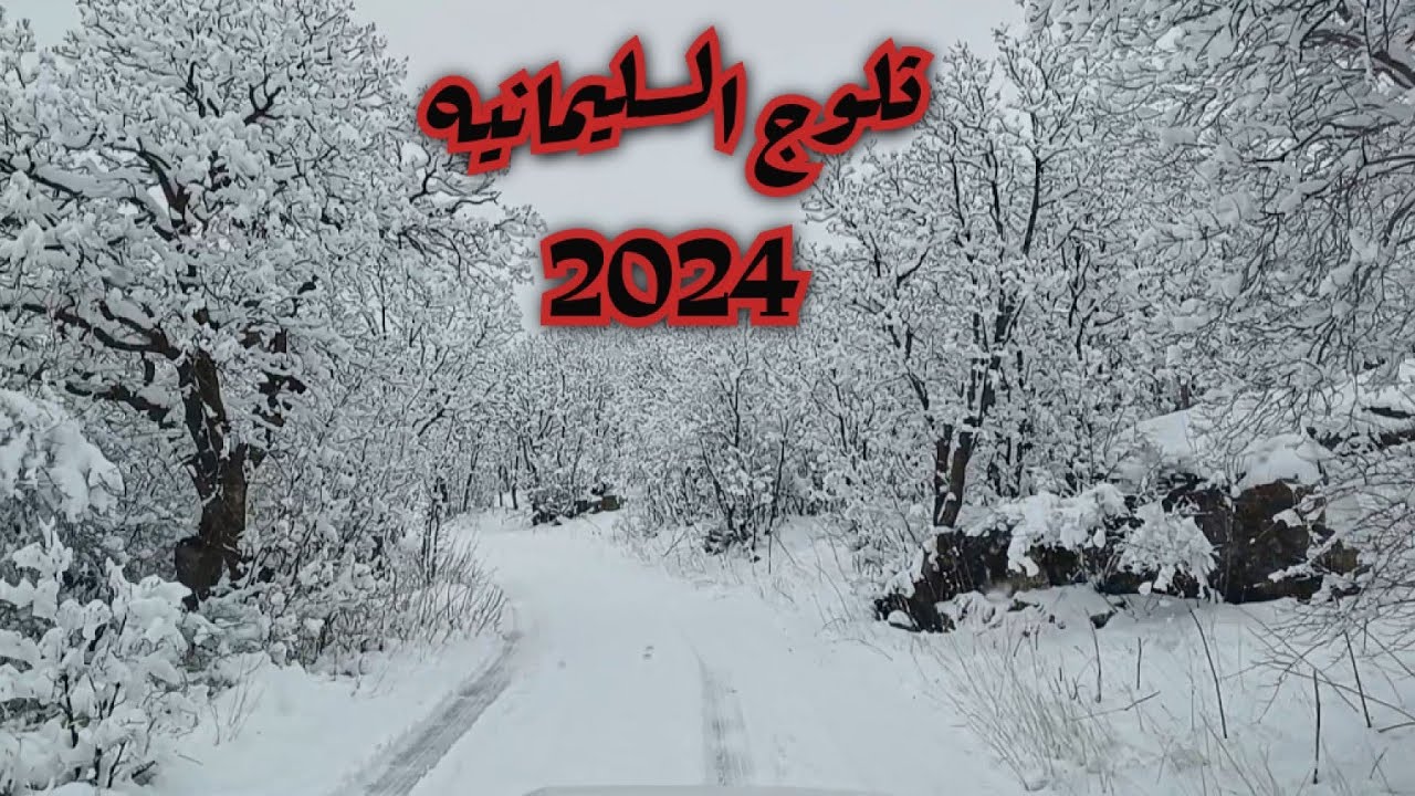 أمطار الثلوج بكثره في السليمانيه 2024/2/1