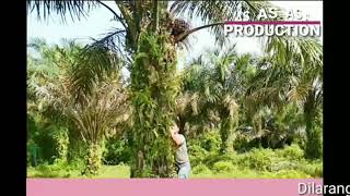 Download lagu As PRODUCTION (Nasib Kuli)