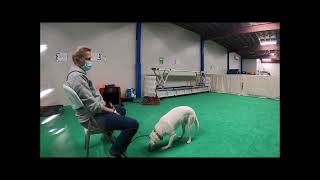 Give Me a Break Control Unleashed