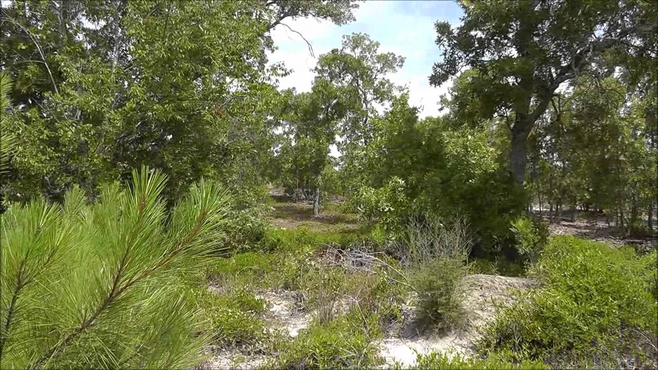 Available lots in Kelsney Ridge by Essex Homes - 75 and 42 - YouTube