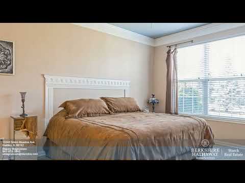 13340 Green Meadow Ave, Huntley, IL home video tour