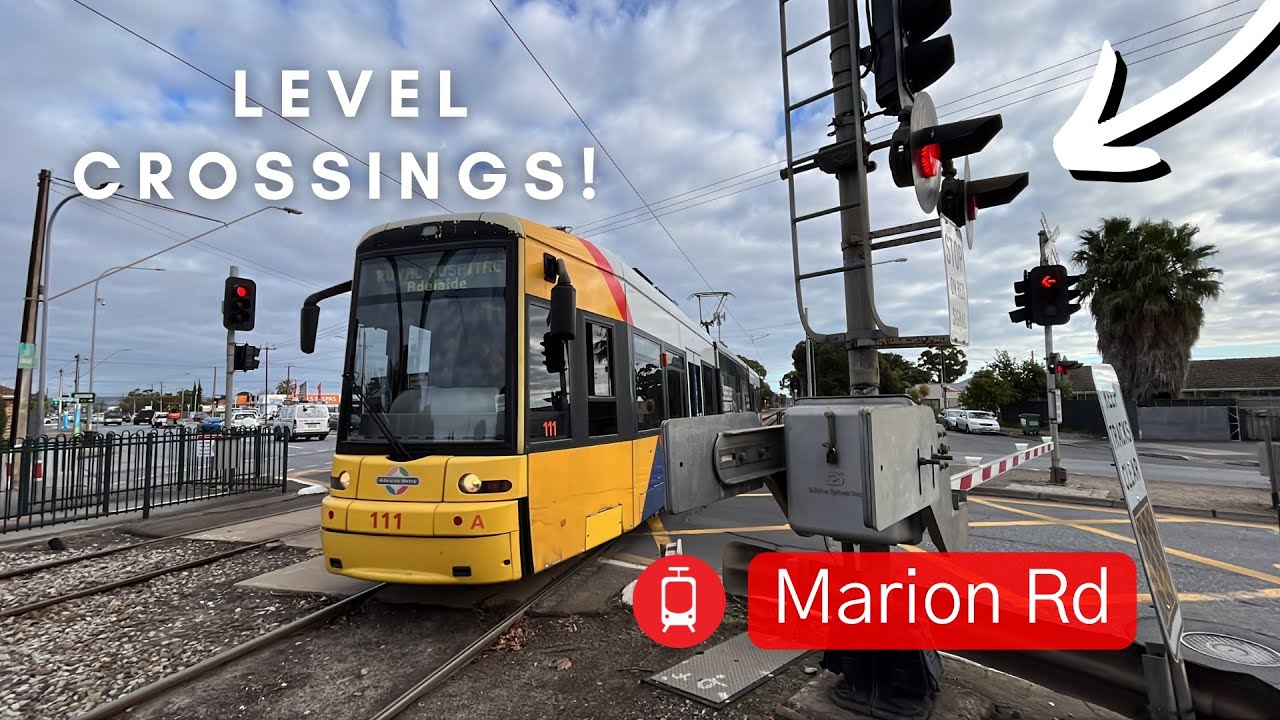 Adelaide Transport Vlog 9 Trams At Marion Road Level Crossing Action