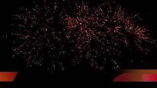 CGFP-31 2013