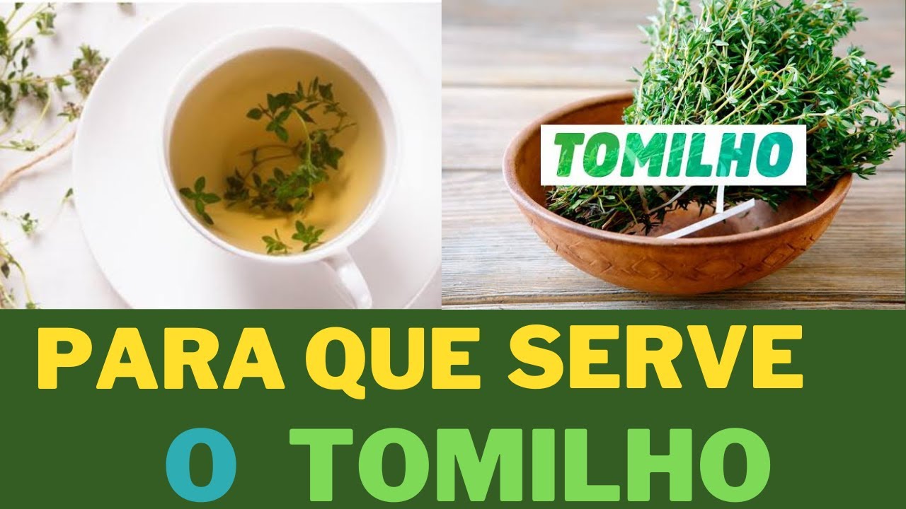 por que o tomilho faz bem, tomilho e suas propriedades Medicinais