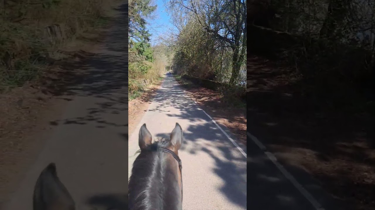 hack along windy lane agden reservoir sheffield