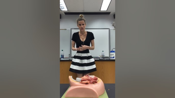 Әйелдің ұрық бөлетін видеосы Әйелдің ұрық бөлетін видеосы