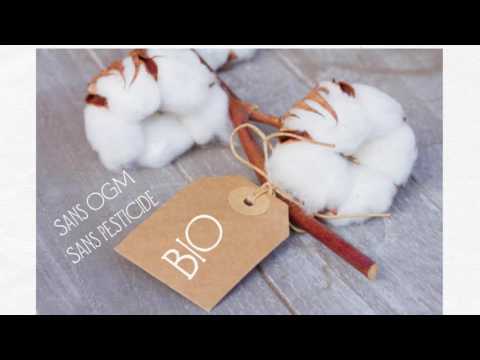Vidéo: À quoi ressemble le coton biologique ?