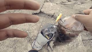 Southern California Bass fishing (Fall/Winter)