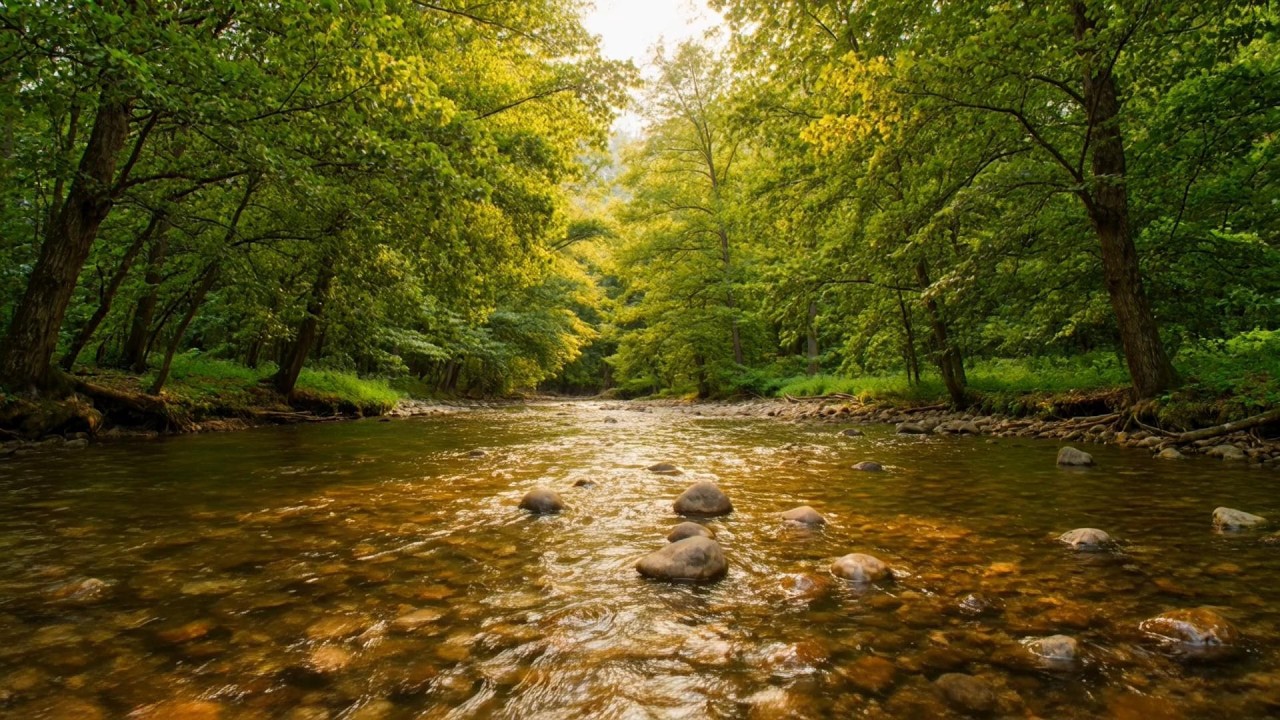 Calm Concentration: Ambient Sounds for Deep Focus