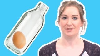 How to get an egg inside a bottle | Live Experiments (Ep 28) | Head Squeeze