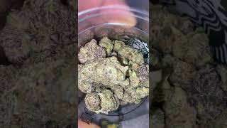 Rolling up in my room