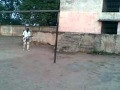 Practicing for cricket match