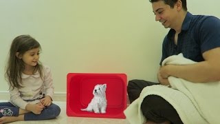 بنتي طلبت كلب!
