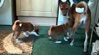 C:\Users\JENNY\Pictures\2011_1_17\CIMG1427.AVI
