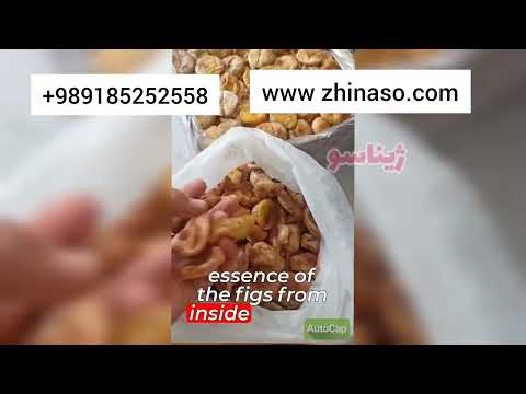 فروش عمده انجیر کوردی انجیر ریجاب ژیناسو