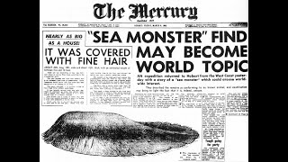 Sea Serpents (Sea Monsters)
