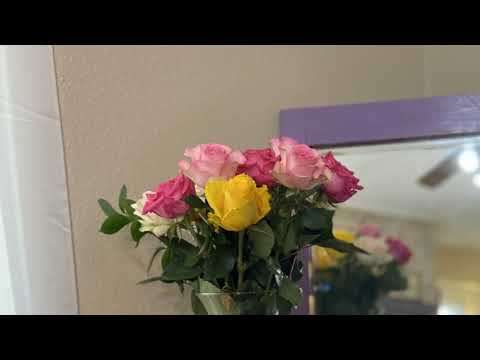 ASMR Corrina