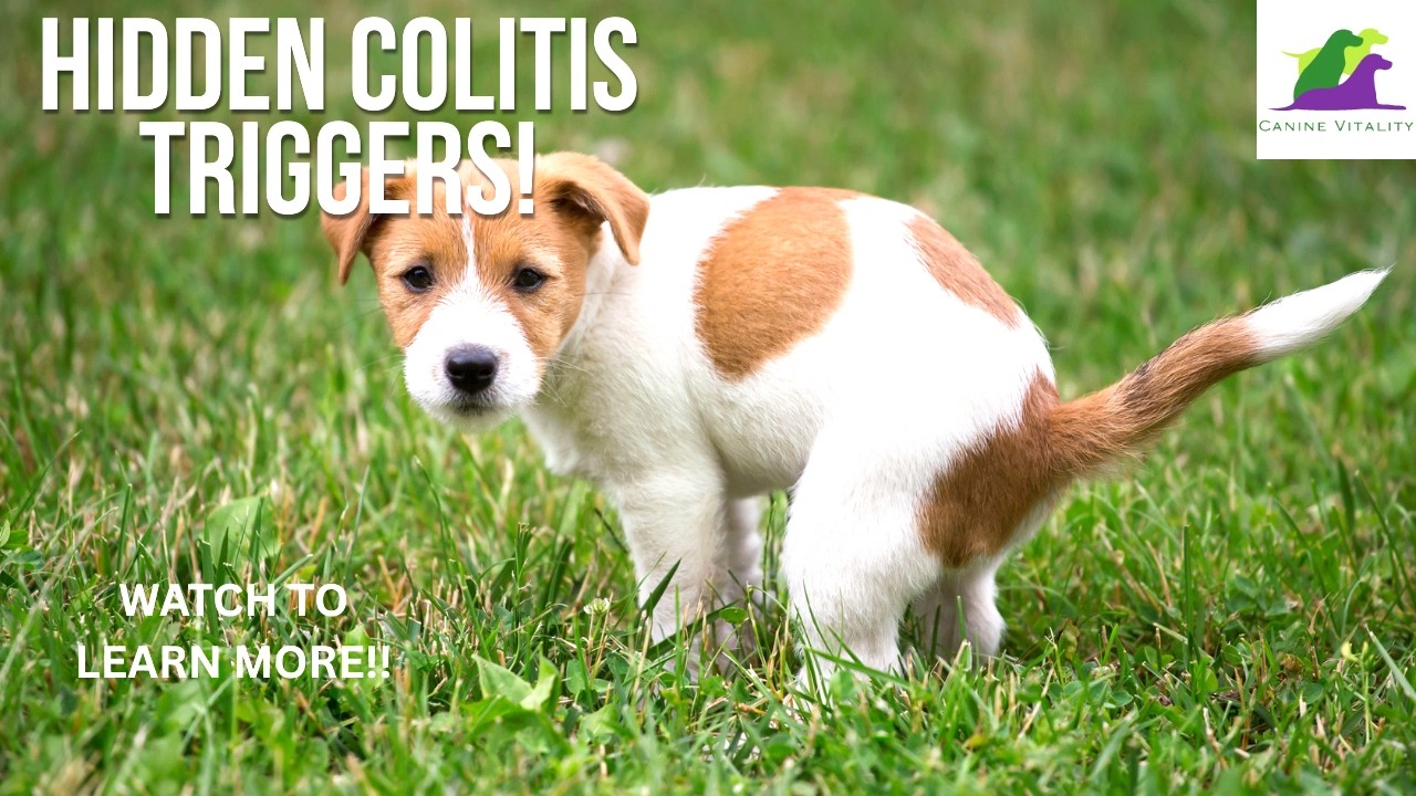Three Hidden Colitis Triggers
