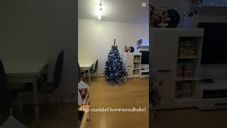 43,5 m2 korter,   3.4 m2 rõdu , panipaik . Madalad kommunaalid .  Helista kiiresti  372 5884 8428