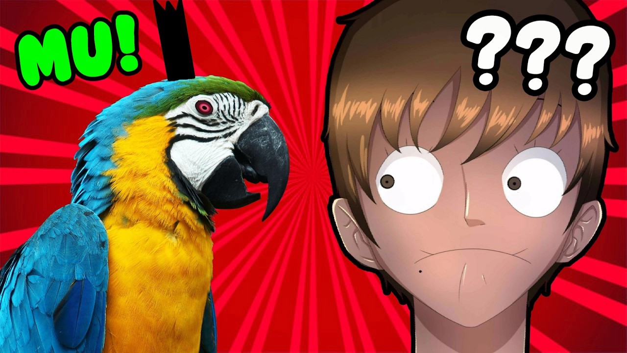 So Imu Is A Parrot I Guess? So Imu Is A Parrot I Guess?