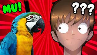 So Imu Is A Parrot I Guess?
