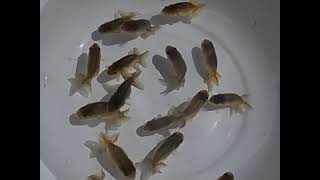 DSCN6553