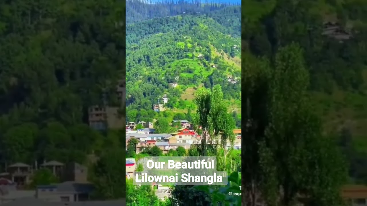 Lilownai Shangla