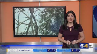 Storm damage around Central Indiana
