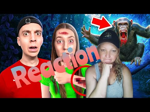 Reaction auf ClashGames- "Meine Freundin wurde von bösen Affen gebissen"