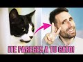 7 COSAS en las que NOS PARECEMOS a los GATOS 😼🔄👤 | Similitudes entre gatos y humanos