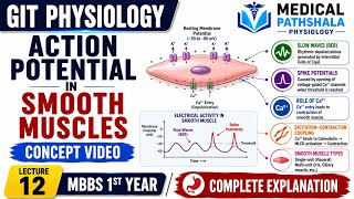 Action Potential in Smooth Muscle | Concept Video | GIT Physiology | MBBS Physiology