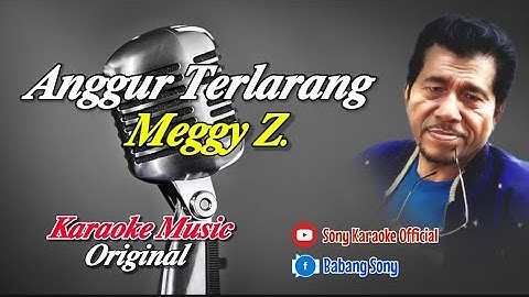 ANGGUR TERLARANG || MEGGY Z || KARAOKE DANGDUT ORIGINAL || @sonykaraokeofficial