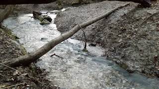 Ein Appell Sensibilisierung Statt Popularisierung - Mit Den Quellen Des Lebendigen Wassers