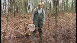 Vernal pools
