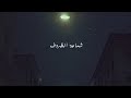 Shma3t El Zroof Deebapel شماعة الظروف ديبابل Official Lyric Video 2024 