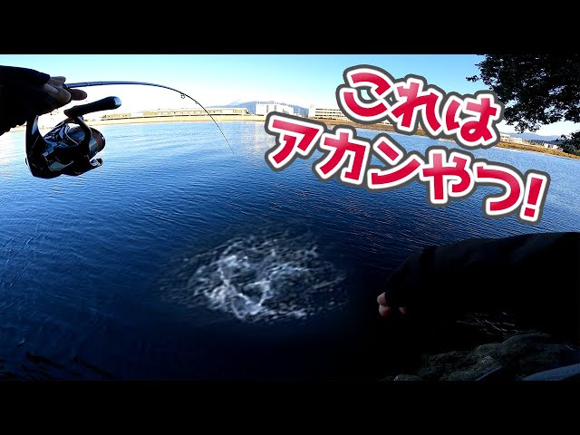 ハートデザイン ワインドフェザー 6個 ハートデザイン ワインドフェザー
