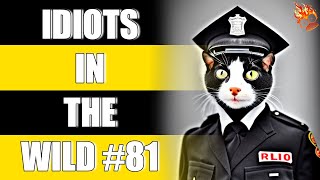 IDIOTS IN THE WILD #81